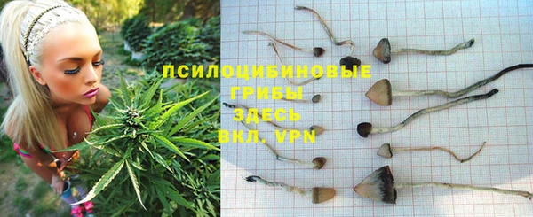 индика Володарск