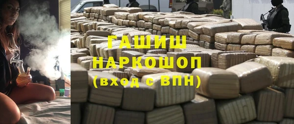 индика Володарск