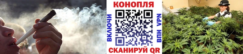 mega   дарнет шоп  Ельня  Бошки марихуана гибрид 